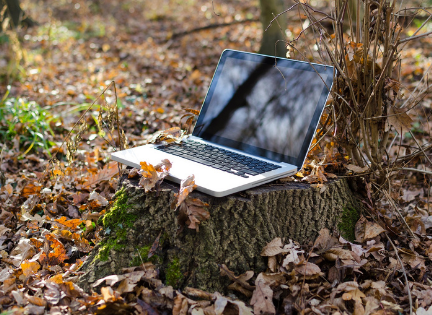 laptop in autumn forest